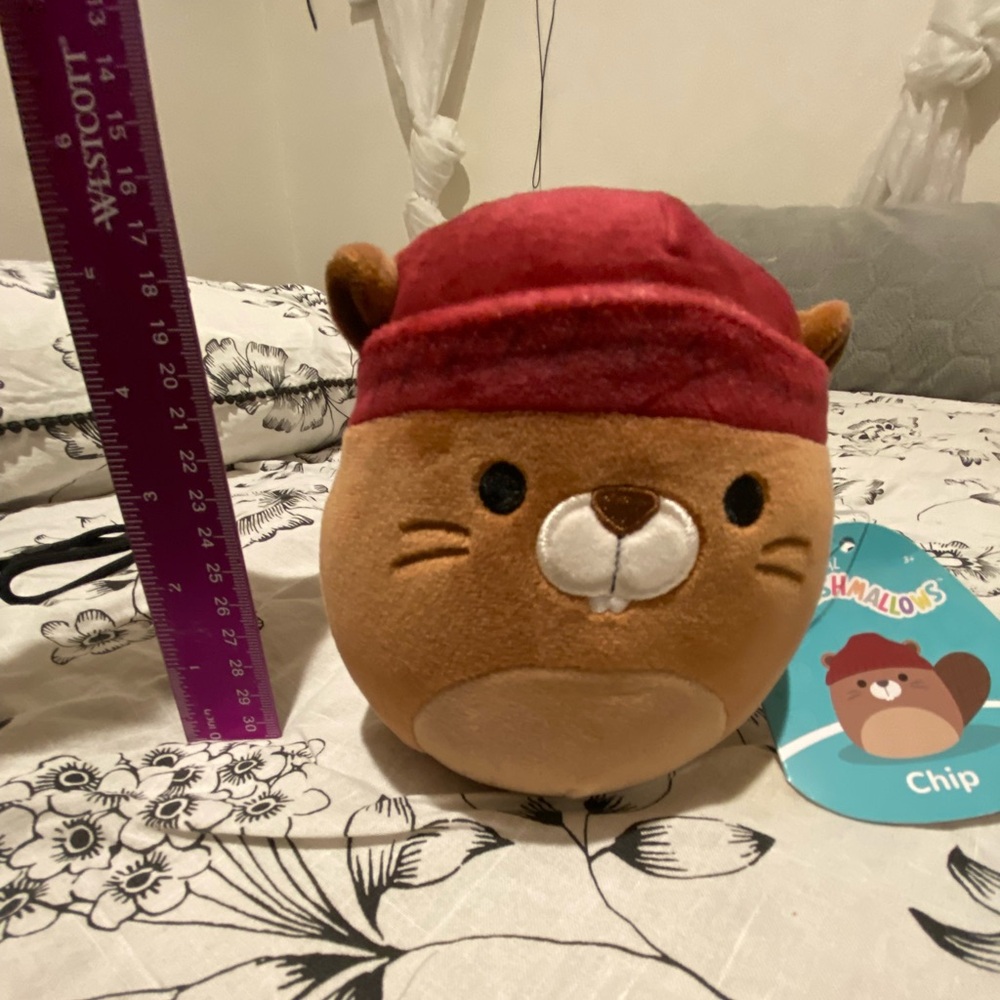 Small squishmallow Beaver - Picture 4 of 4